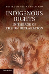 Indigenous Self-Determination, Culture and Land: A Reassessment in Light of the 2007 UN Declaration on the Rights of Indigenous Peoples by Siegfried Wiessner