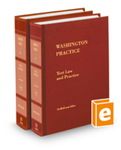 Tort Law and Practice, 5th (Vols. 16 and 16A, Washington Practice Series) by David K. DeWolf